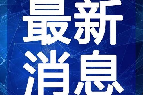和平集市最新爆料视频,揭秘神秘视频背后的惊人真相!